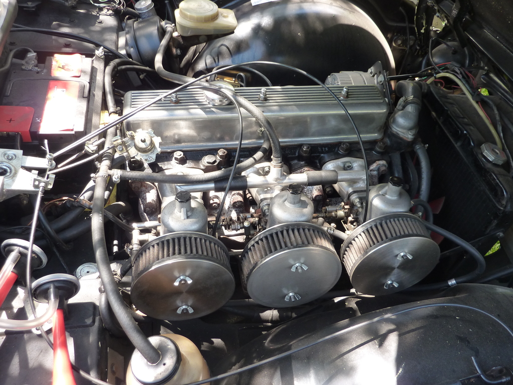 TR250