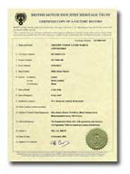 How to recognise a real TR5 in 3 stages! How to recognise a real TR5 in 3 stages!