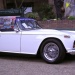 tr5W-1 tr5W-1