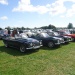 TR5PASSION-GW-25 TR5PASSION-GW-25