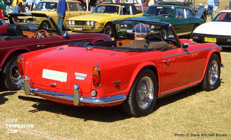 TR5020309.jpg TR5020309.jpg